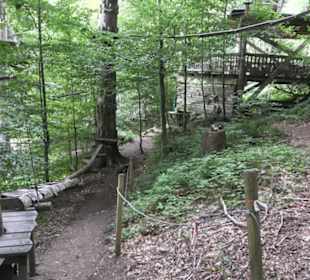 Natur-Hochseilgarten Triberg