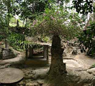 Magic Garden