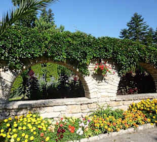 Im Garten