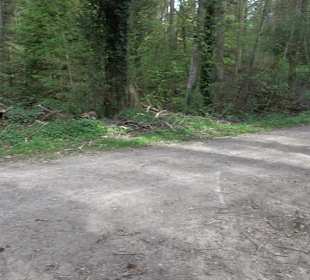 Walderlebnisweg Rottenburg