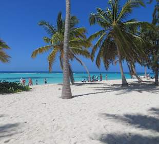 Saone ist wirklich ein Traum wir waren fast allein