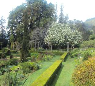 Ogród Botaniczny Funchal