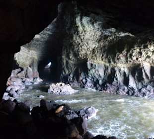 Ein Blick in die Höhle der Seelöwen