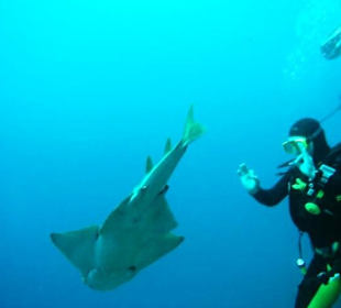 Diving near Playa Chica