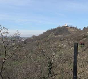 Hirschauer Spitzbergwegle (Premiumspazierwanderweg