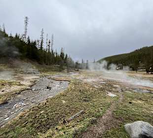 Yellowstone Nationalpark