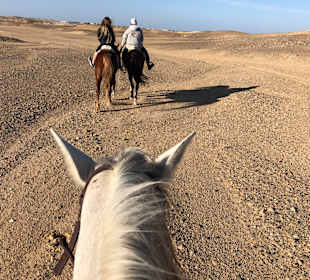 Reiten El Quseir