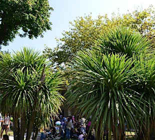 Pałac Topkapi - ogrody