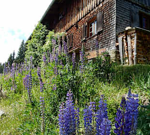 Wandern Ofterschwang