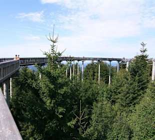 Wald Wipfel Weg mit Erlebnispfad in Sankt Englmar