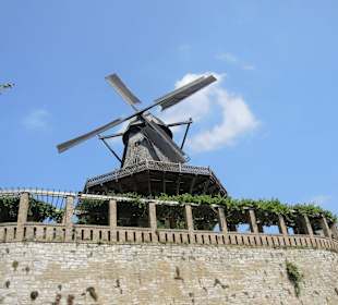 Sanssouci Schloss-/Schlossgartenimpression