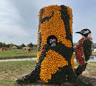 Krewelshof  Kürbisschau 2022 (Wundersame Waldwesen