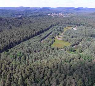 Blick über die "area 1"