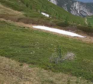 Wandern Obertilliach