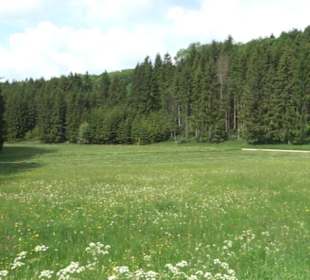 Großes Rinnental
