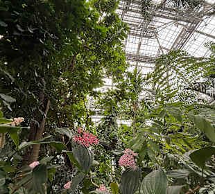 Botanischer Garten in Washington 