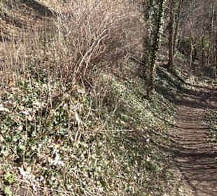 Weinbergturm