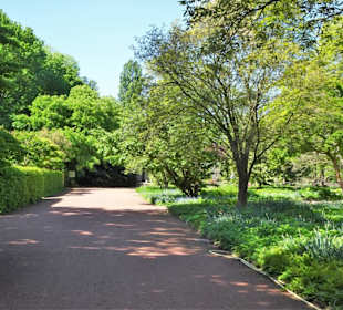 Eindrücke vom Spaziergang durch den Stadtpark