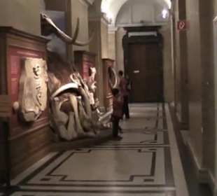 Naturhistorisches Museum