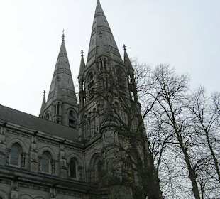 St. Finbarre's Cathedral