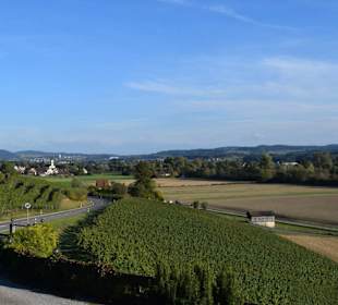 Aussicht Terrasse