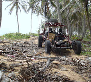 Über Stock und Nüsse