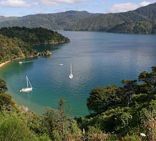 Queen Charlotte Sound 