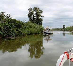 Ausflugschiff  auf dem Ebro