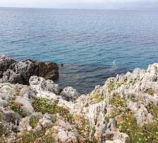 Inselrundfahrt Korfu