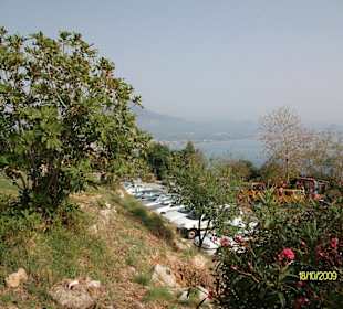 Blick über den Parkplatz an der Burg