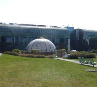 Universitätsbibliothek – auf dem Dachgarten