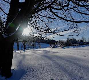 Wandern Neuhaus am Rennweg