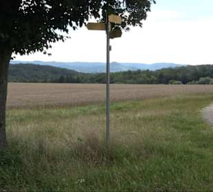 Sonnenaufgangs-Rundwanderung Rübgarten