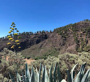 Inseltour Romántica Alltours