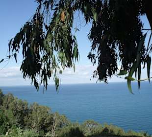 Die blau-weiße Künstlerstadt