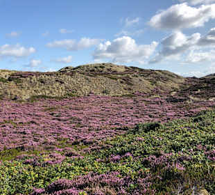 Wandern Gemeinde Sylt [Sylt]