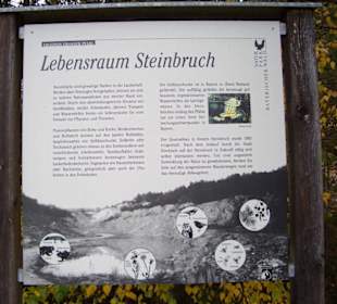 Großer Pfahl "Steinbruch"