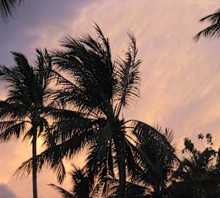 Best Coffee on the island