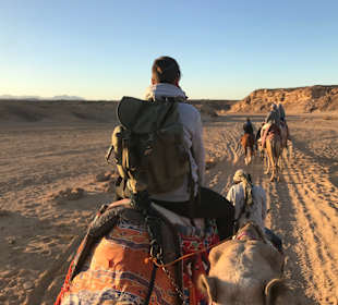 Oskar Safari