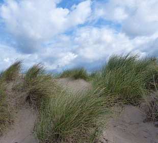 Kleiner Dünenbereich