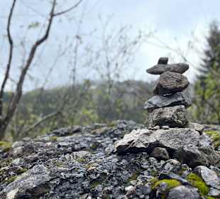 Wandern Mittelberg (Vorarlberg)
