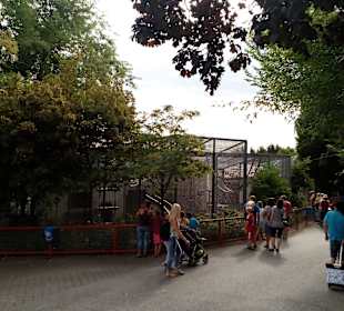 Schwabenpark in Welzheim