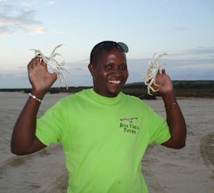 Francesco mit Krebsen am Strand von Santa Monica