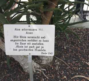 FIFA World Football Museum