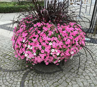 Mit wunderschönen Blumendekorationen