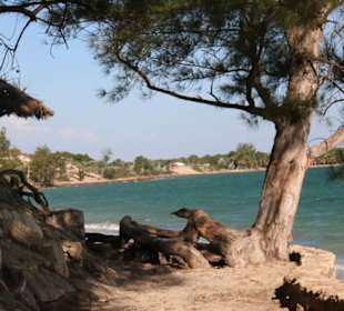 Stand  und Meer in Ifaty