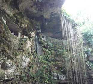 Baden in der Cenote