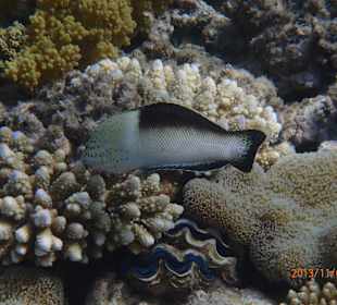 В лагуне отеля