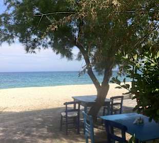 Taverne Arche Noah Sarti