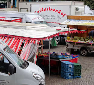 Rundgang über den Wochenmarkt am Marktplatz